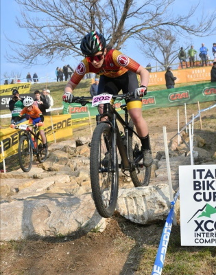 Bertino Maser